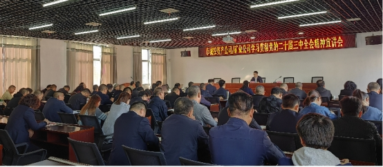 图片5