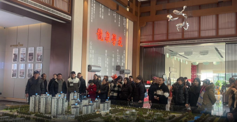 图片13