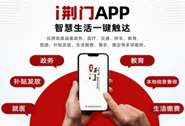 图片44