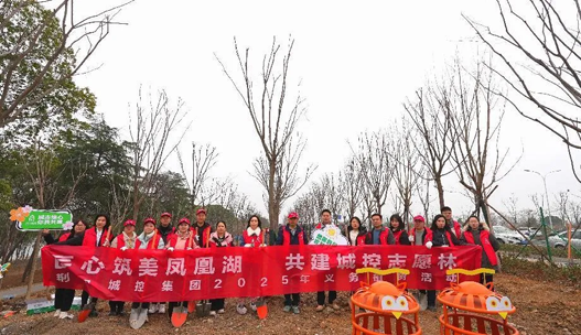 图片12