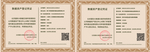 智城公司数据资产