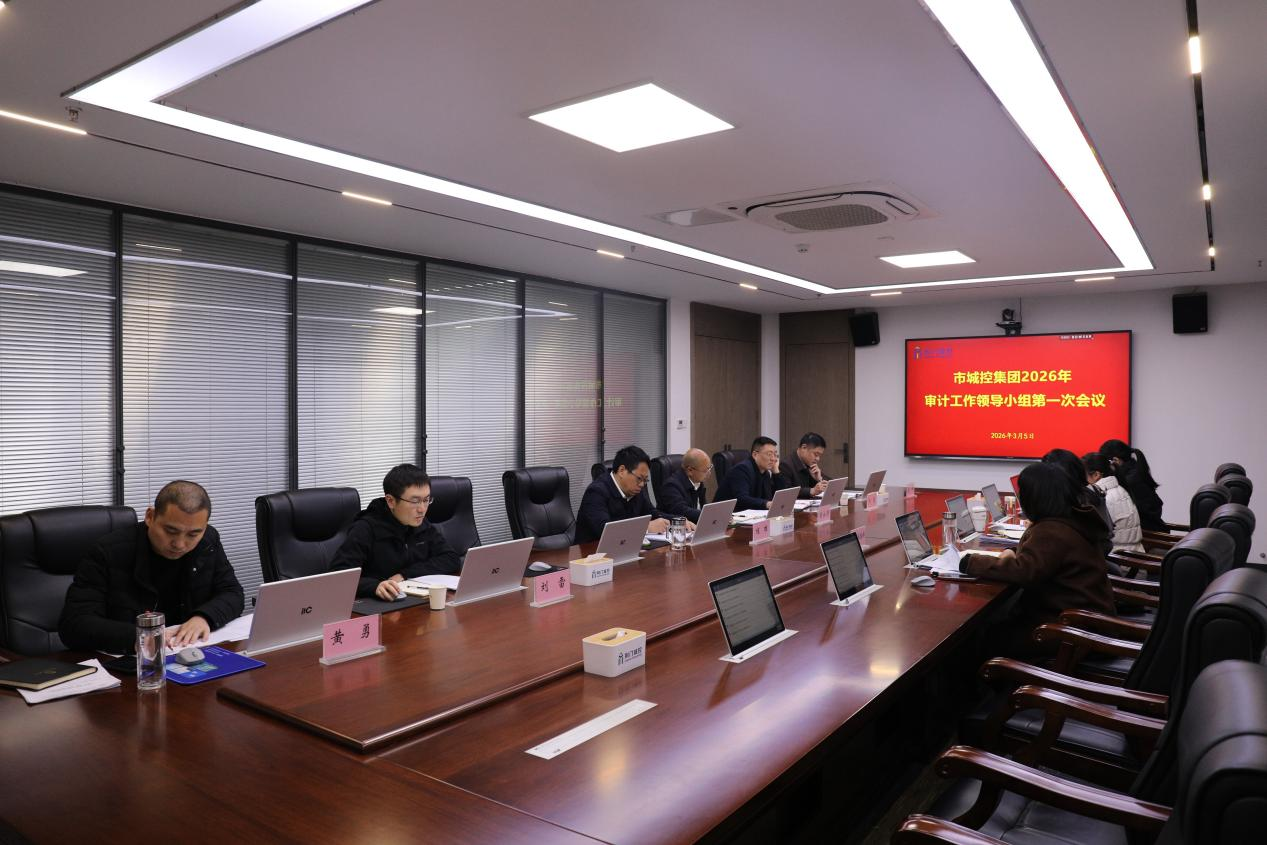 2026年第一次审计小组会议